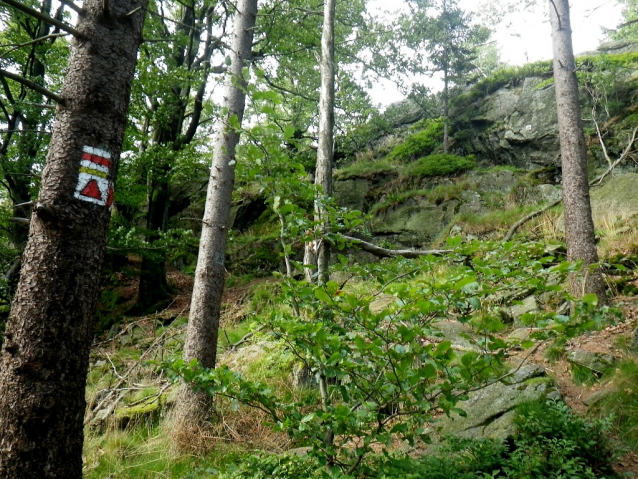 Bouldering na hřebeni Českého lesa
