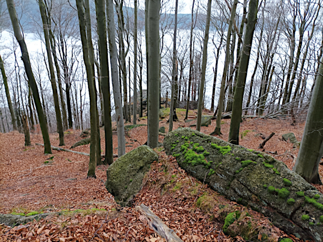 Ikonická Údolní cesta na Supí hlavu v Jizerkách
