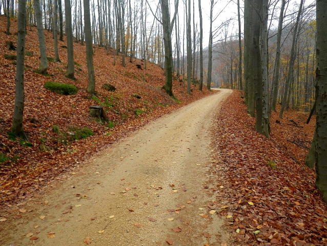 Krkonošský a Jizerský hřeben na kole