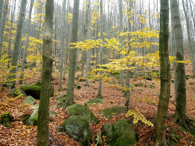 Krkonošský a Jizerský hřeben na kole