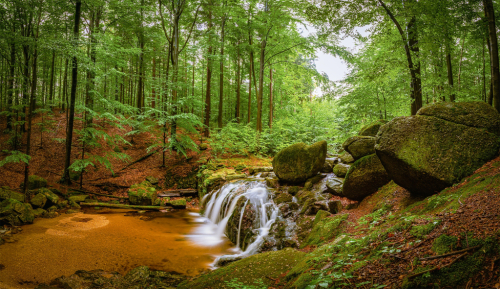 Májové Jizerky: čas lásky v kraji hlubokých bučin, drsných skal a vzácného křišťálu