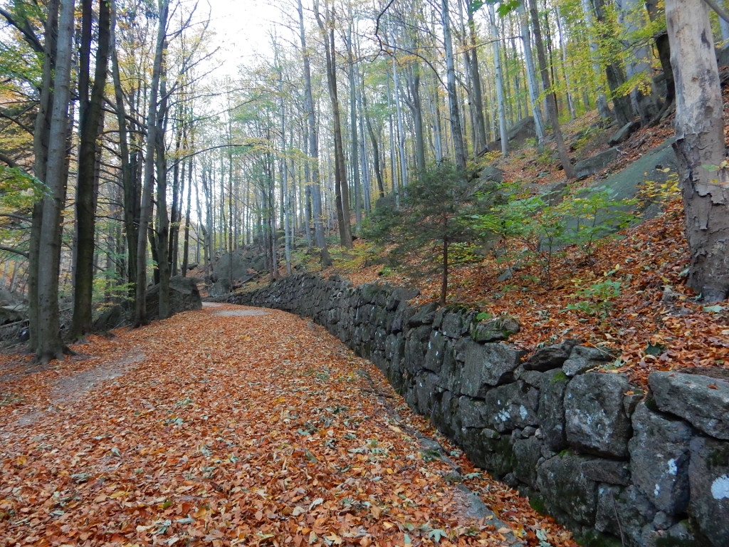 Štolpišská silnice na podzim.