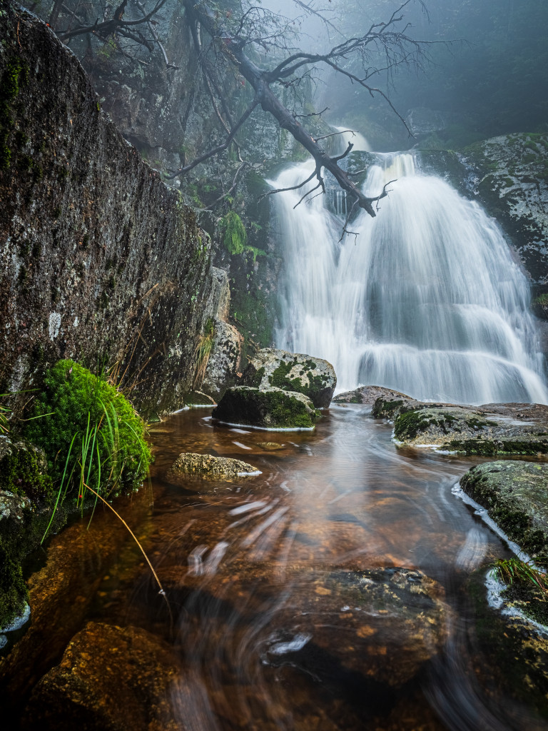 Štolpich, Jizerskohorské bučiny.