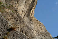 Kam nelézt 2009