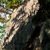Lezecká skalka Lojzovka u Středokluk