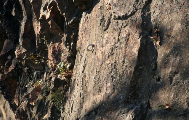 Lezecká skalka Lojzovka u Středokluk