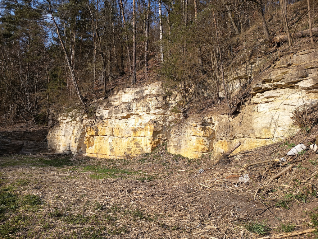 Malý selský lom na pískovec v Podmukařově na levém břehu Mukařovského potoka.