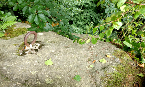 Žabka - dobře schovaná pískovcová věž v Děvínském polesí