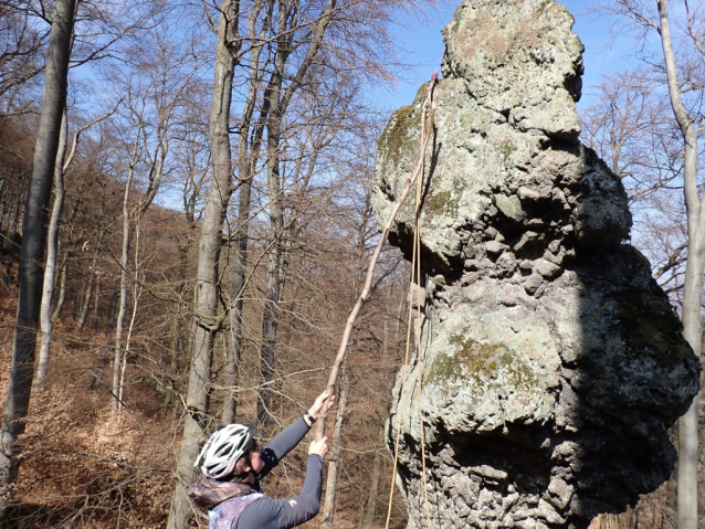 Amtmann neboli Hadovka je osamělý skalní kyj na Dlouhém hřebeni nad Litoměřicemi