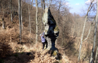 Amtmann neboli Hadovka je osamělý skalní kyj na Dlouhém hřebeni nad Litoměřicemi