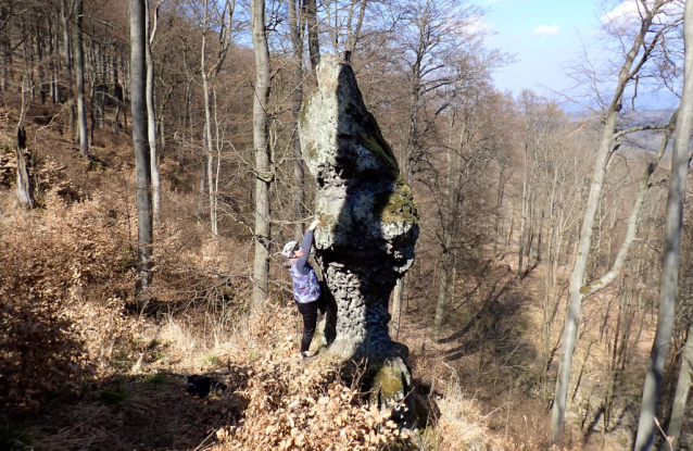 Amtmann neboli Hadovka je osamělý skalní kyj na Dlouhém hřebeni nad Litoměřicemi