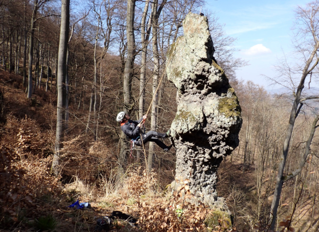 Amtmann neboli Hadovka je osamělý skalní kyj na Dlouhém hřebeni nad Litoměřicemi