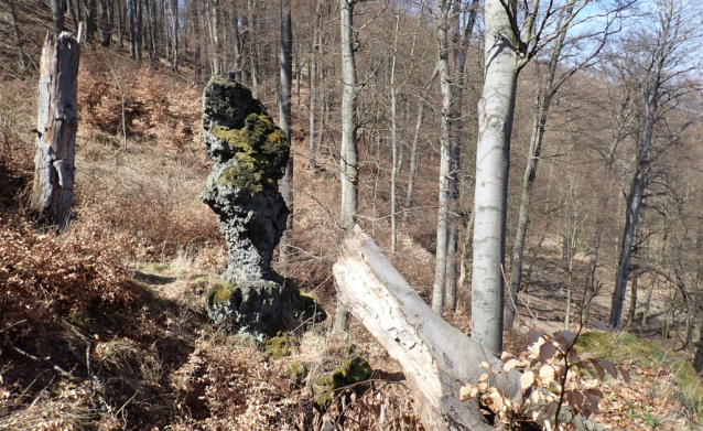 Amtmann neboli Hadovka je osamělý skalní kyj na Dlouhém hřebeni nad Litoměřicemi