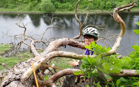 Skalní plotna pod Štěchovickou přehradou