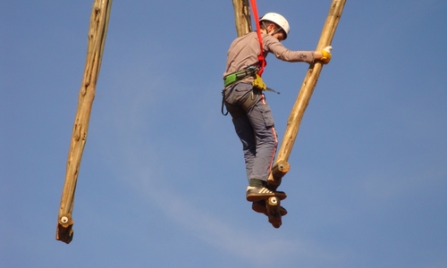 Adrenalin plus Adrenalin plus
