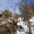 Jaký je stav ledopádů ve Štolpichu v Jizerských horách?