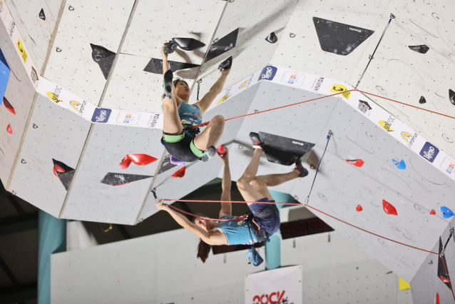 Rock Master 2024 Protagonists 10 Olympics Climbers Aim to the Trophy