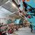 Hangar climbing playground by Adam Ondra