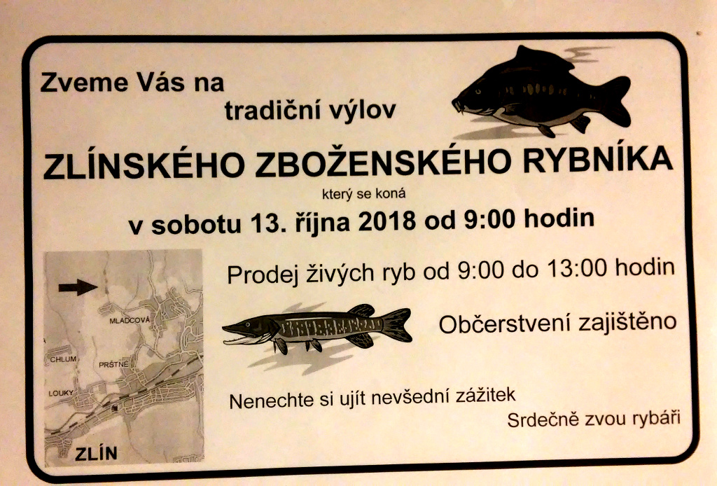 Zboženský rybník Zlín, výlov 2018. 