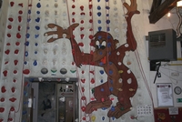 Sambar Speed: lezení na rychlost Sambar Speed: lezení na rychlost