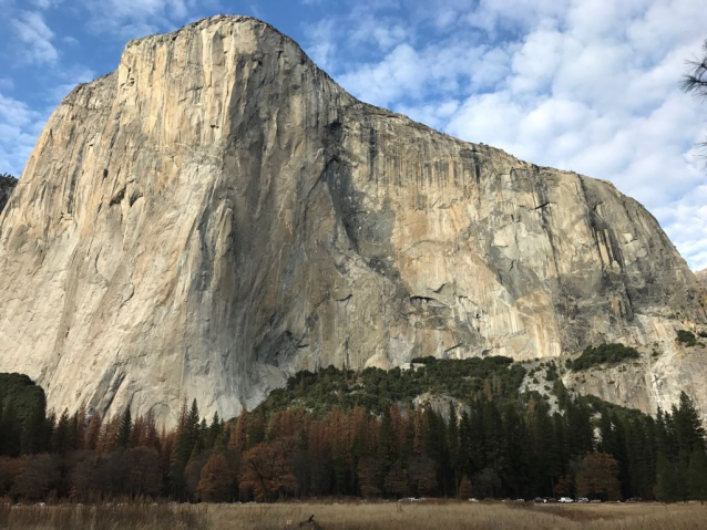 Climber Adam Ondra in the Dawn Wall