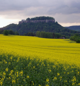 Sächsische Schweiz und Umgebung von Dresden