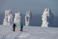 The 7 Giants – legend goes extreme The 7 Giants – legend goes extreme