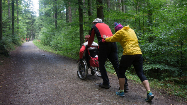 Handbike na podzimní Šumavě