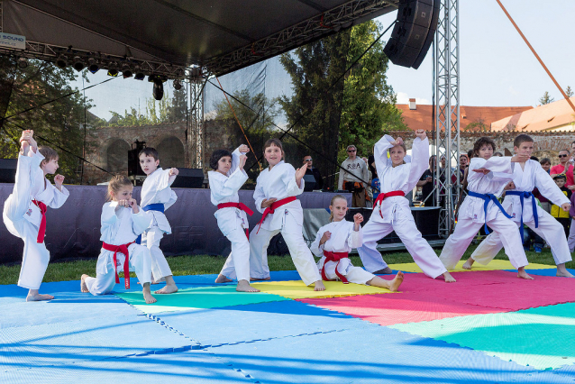 Festival vína Český Krumlov