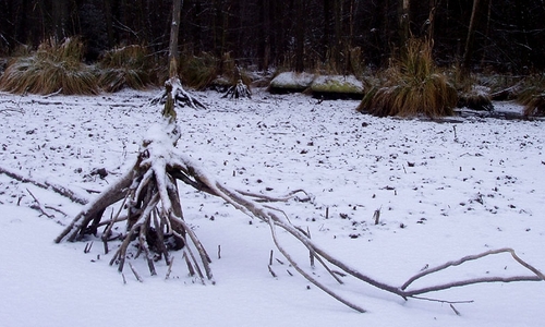 Vránová se utopila na Slezské Hartě, když zachraňovala štěně