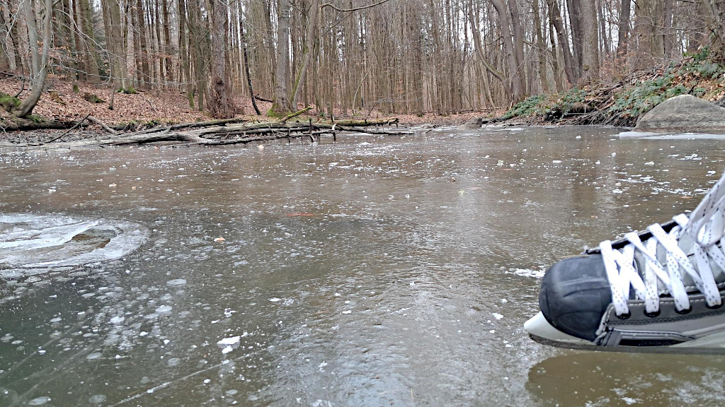 Jevanský rybník na bruslích.