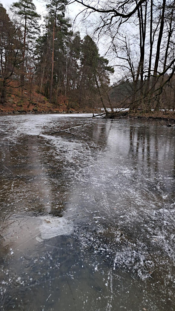 Jevanský a Vyžlovský rybník na bruslích