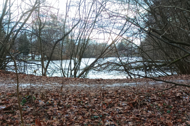 Zamrzlé Malvíny - eldorádo pro bruslaře