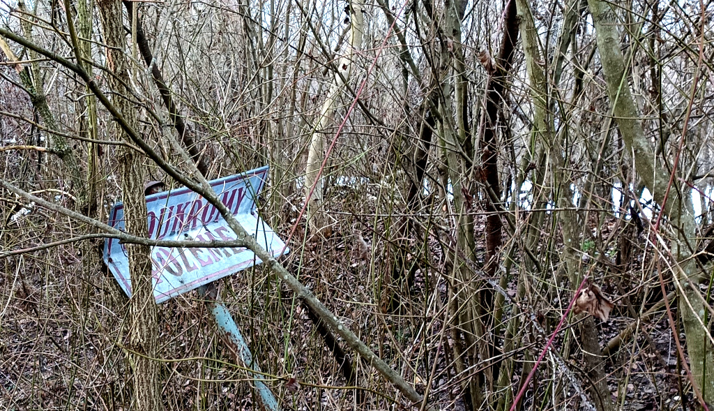 Zákaz vstupu už dávno zarostl do křoví u jezera Mezi Mosty, Čelákovice.