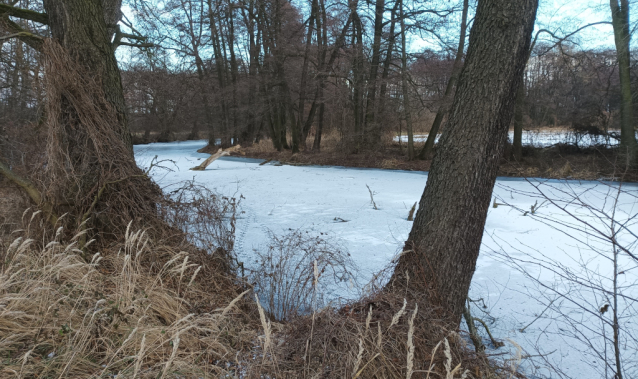 Zamrzlé Malvíny - eldorádo pro bruslaře