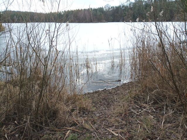Zamrzlé Malvíny - eldorádo pro bruslaře