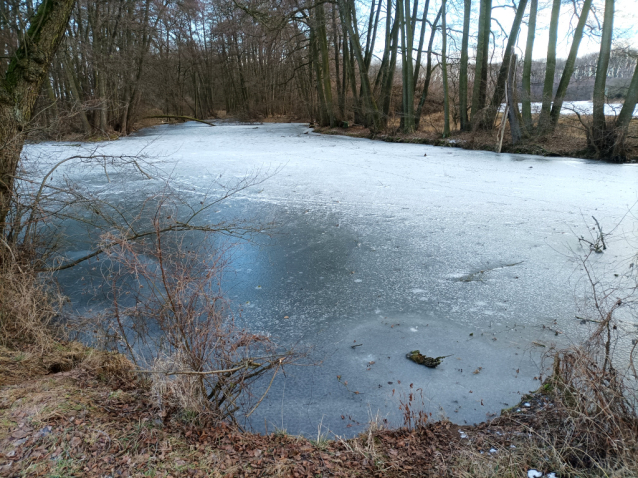 Zamrzlé Malvíny - eldorádo pro bruslaře