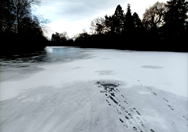 Zamrzlé Malvíny - eldorádo pro bruslaře