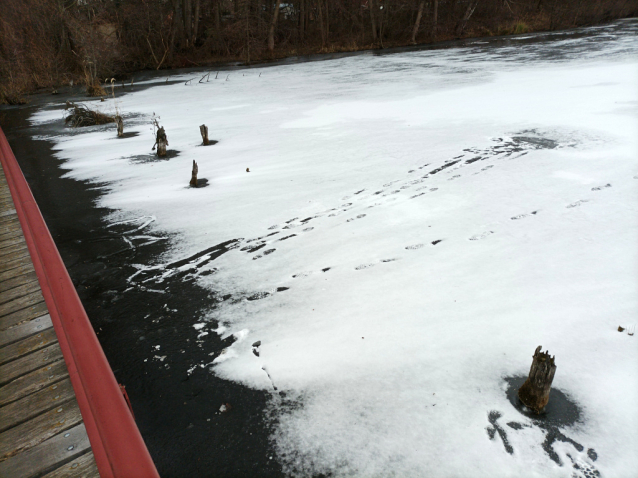 Zamrzlé Malvíny - eldorádo pro bruslaře