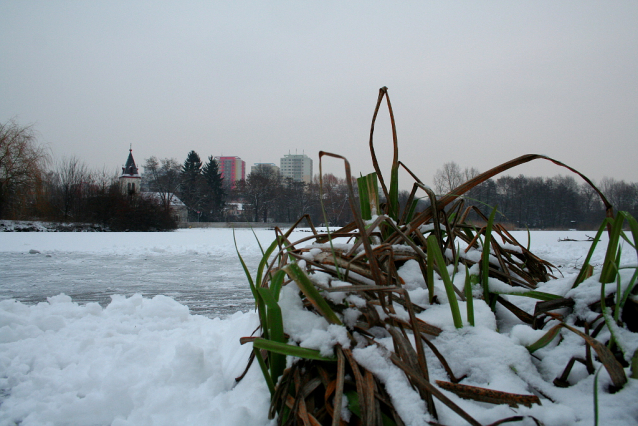 Bruslení v Praze 2014