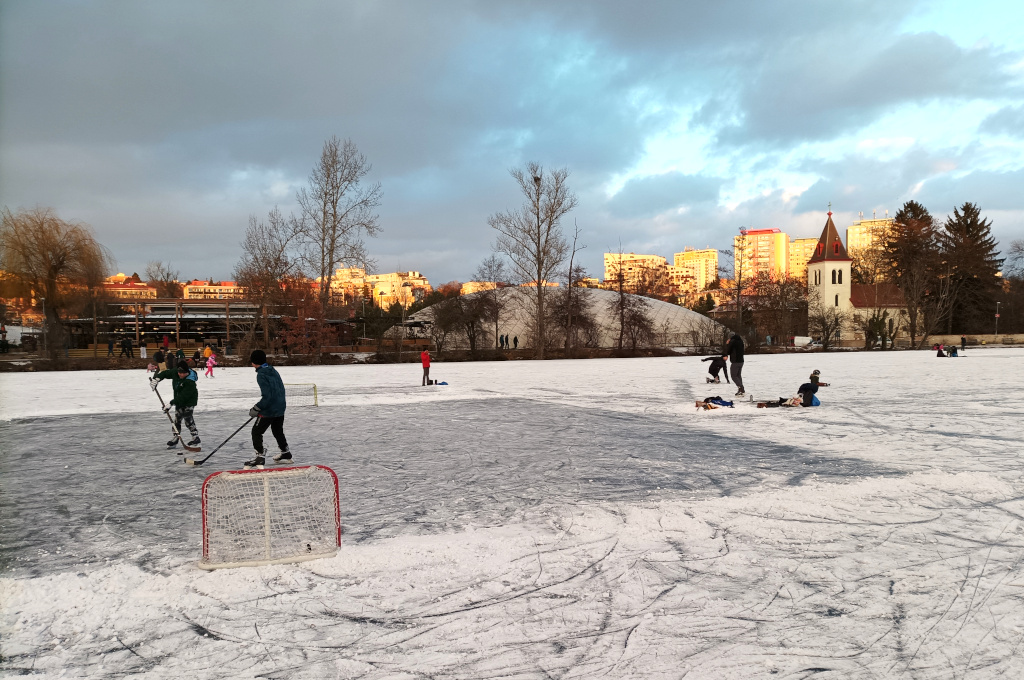 Hamerský rybník se každou zimu rychle pokryje několika hokejovými hřišti.