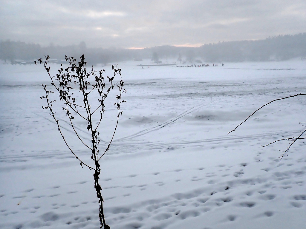 U hlavní pláže hrají kluci hokej.