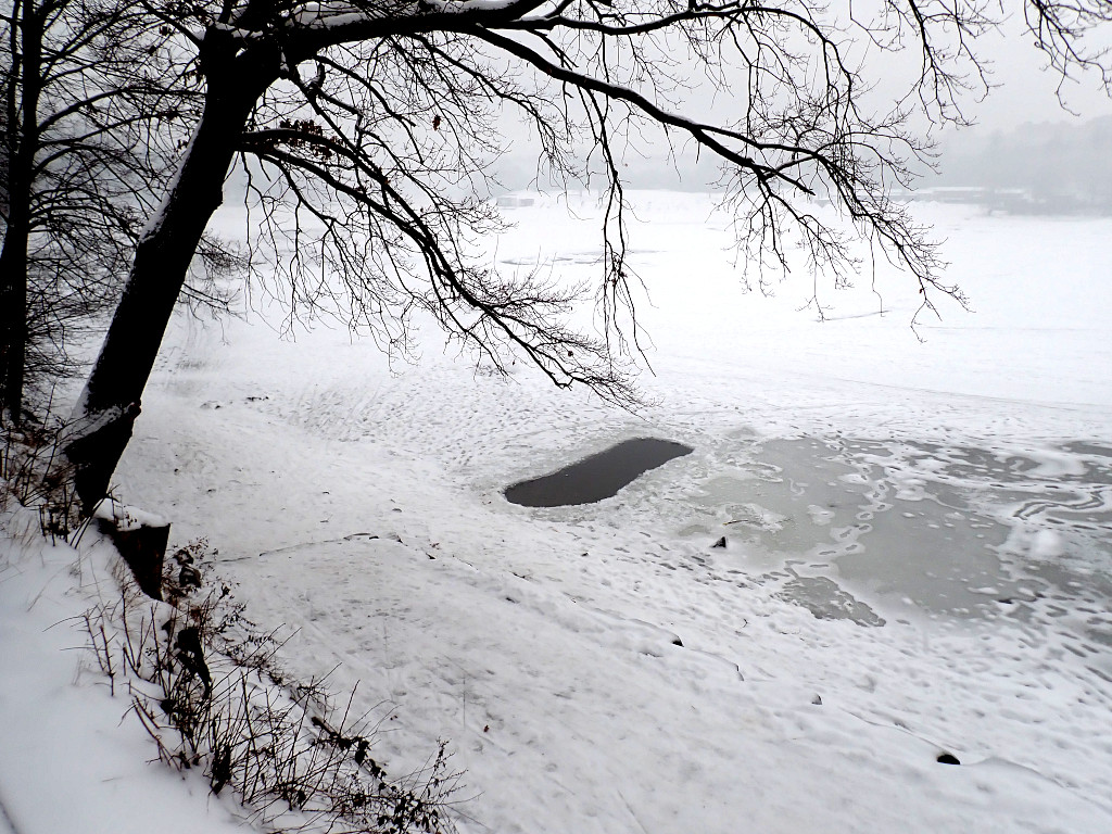 Otužilci vysekali díru v ledu na Hostivařské přehradě.