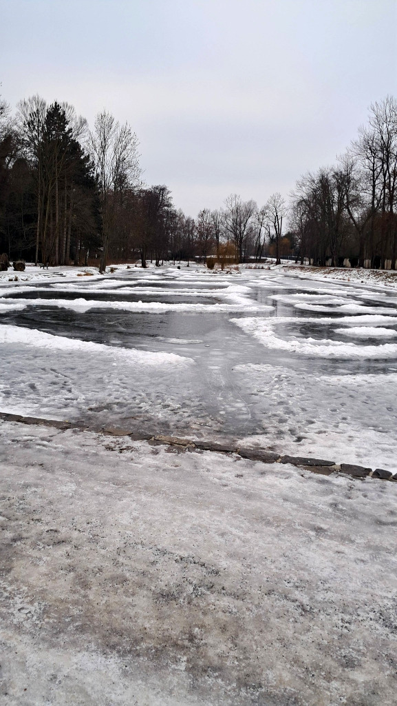 Zámecký rybník Čakovice.