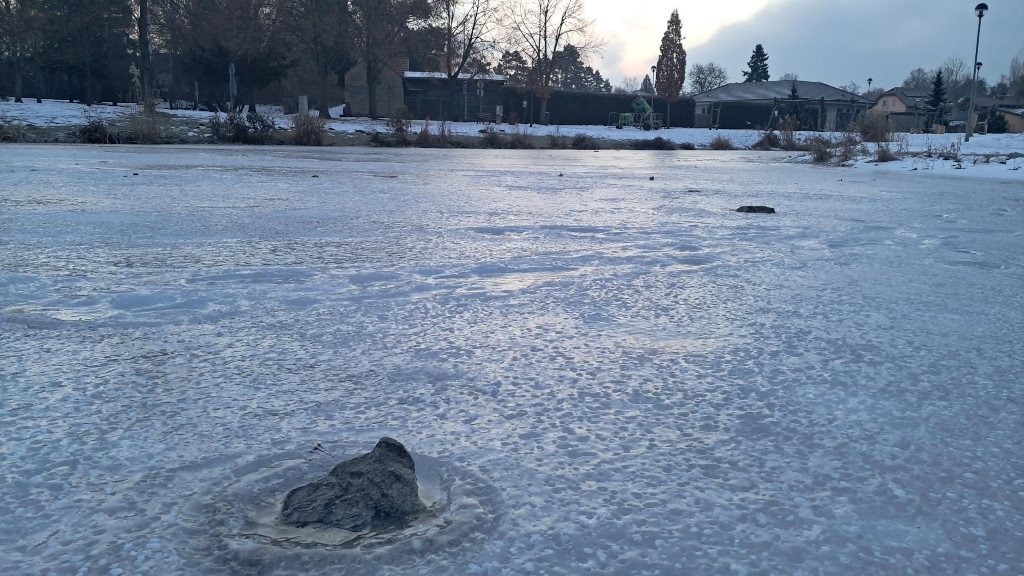 Zamrzlý rybníček v parku Amerika, Radonice.