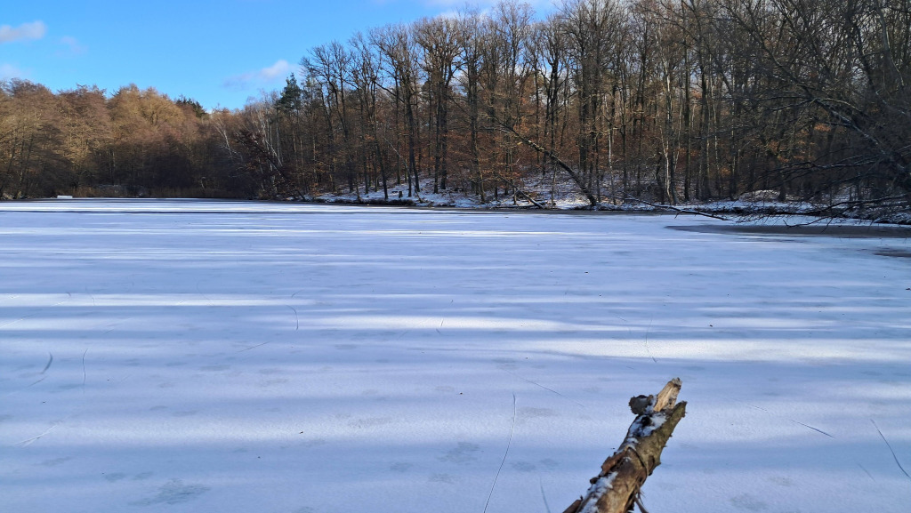 Bruslení na rybníku Barbora, Svépravický potok, Praha.