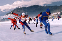 Bruslení na Weissensee. Jaké brusle vybrat?