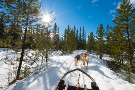 Skandinávie AKTUÁLNĚ 2026