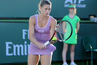 Je tenis vaší vášní? Nejlepší vybavení chce každý Je tenis vaší vášní? Nejlepší vybavení chce každý