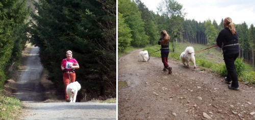 Psí obleky do přírody Ruffwear